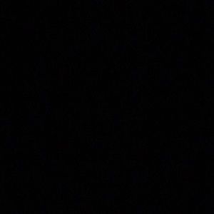 Meet your Posher, Daisy